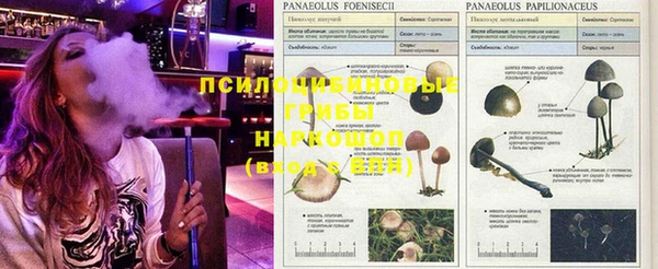героин Алзамай